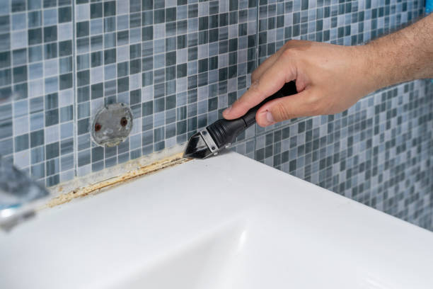 Best Residential Mold Remediation in West Samoset, FL
