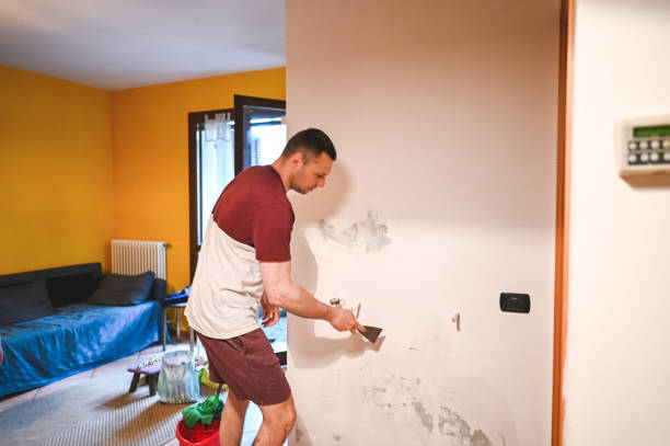 Best Emergency Mold Remediation in West Samoset, FL